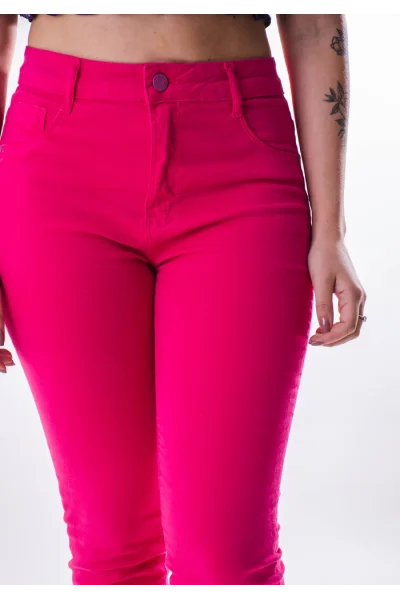 Produto Calça Gabip Feminina Sarja Reggla