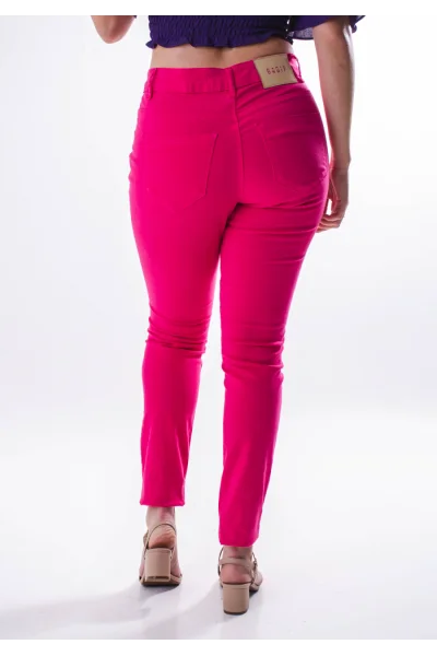 Produto Calça Gabip Feminina Sarja Reggla