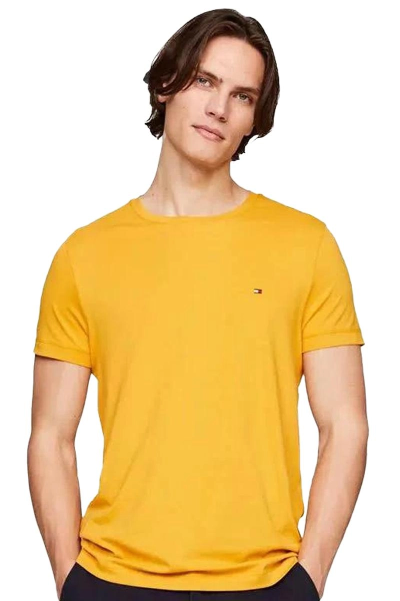 Camiseta Tommy Hilfiger Basic Masculina