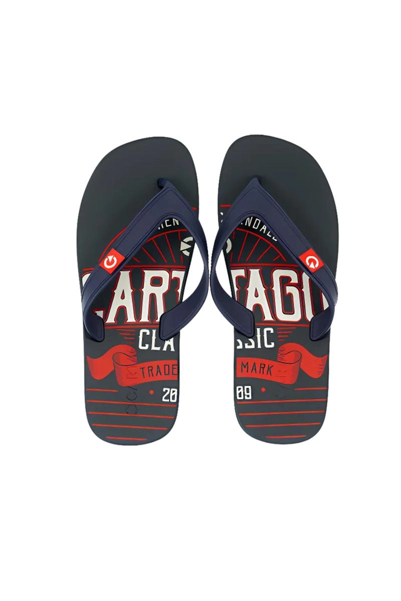 Chinelo Masculino Cartago Grendene