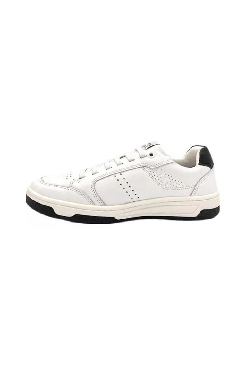 TN MASC CASUAL VOX FERRACINI