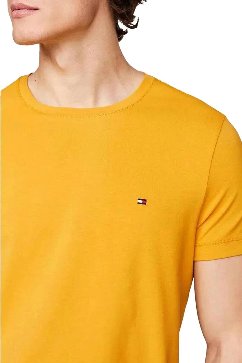 Camiseta Tommy Hilfiger Basic Masculina