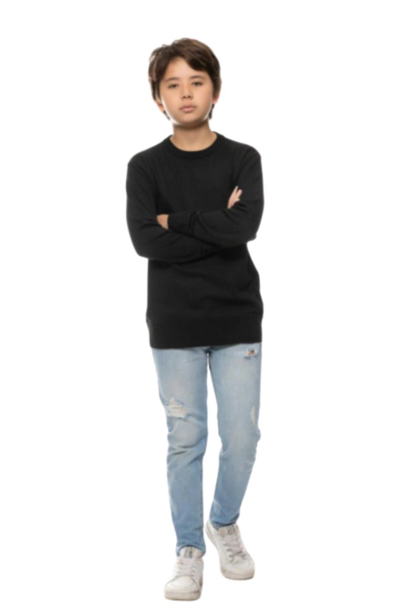 Suéter Crocker Gola redonda Juvenil Masculino